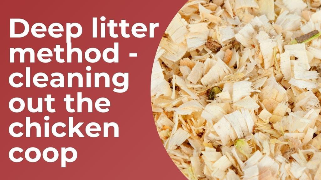 'Video thumbnail for Deep Litter Method - Cleaning Out The Chicken Coop'